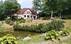 Apartament Bukowy Las